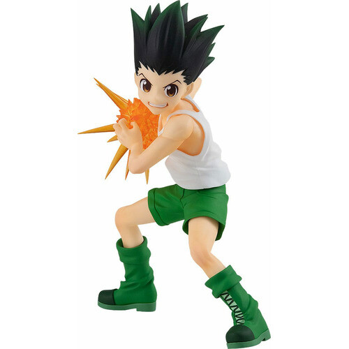 Hunter gon - hunter, x
