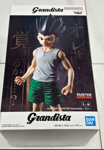 Hunter grandista gon - hunter×hunter,