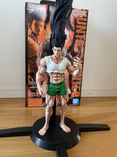 Hunter gon freecss - gon,