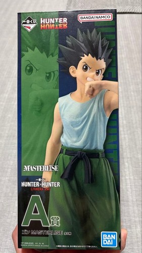 Modellino hunter - hunter, x