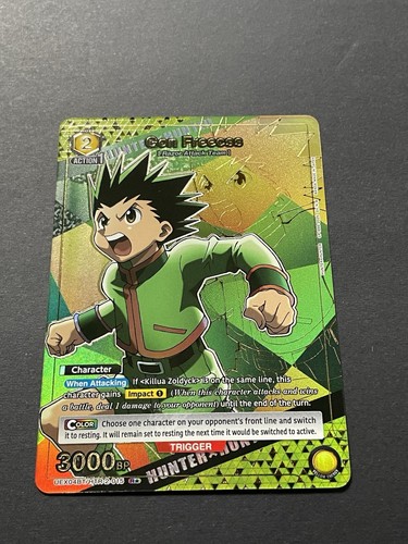 Hunter gon freecss - x,