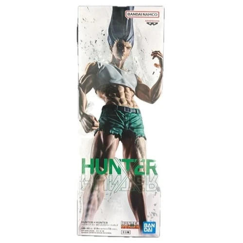 Hunter gon - x,