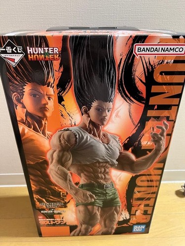 Hunter gon freecss - hunter,