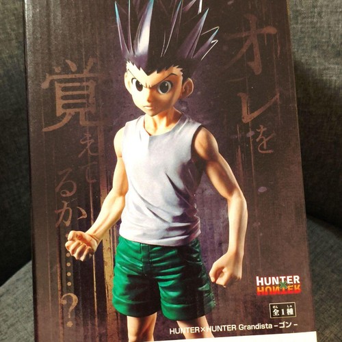 Hunter gon - x,