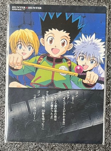 Hunter carddass gon - hunter, x