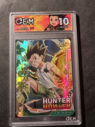 Gon freecss hunter - -,