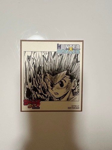 Hunter gon mini - hunter, x