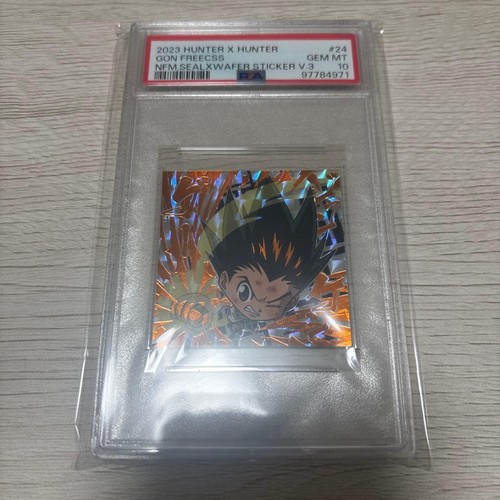Carta adesiva gon - gon, hunter