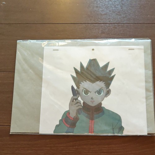 Hunter gon dvd cel - x,