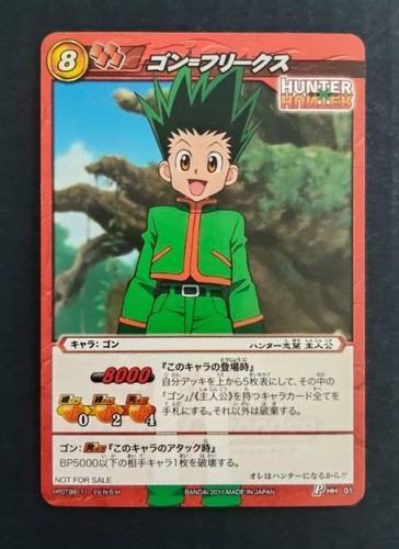 Hunter miracle battle - hunter, x