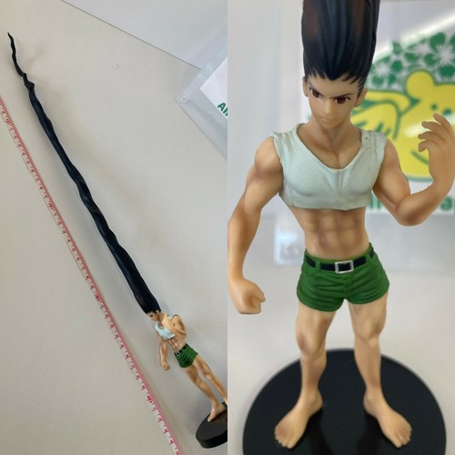 Hunter gon freecs - hunter,